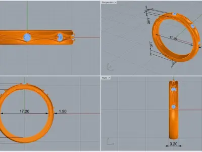 ring code 172 3D print model