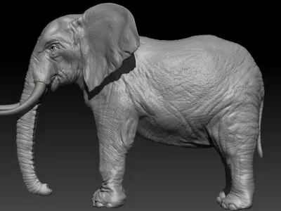 Realistic Elephant Hi-Rez with realistic skin 3D model 3D model
