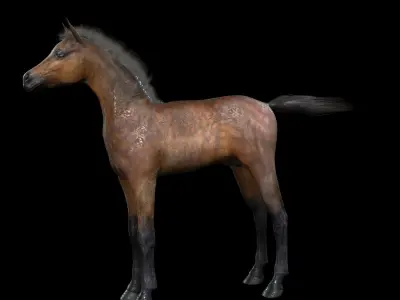 Thoroughbred Arabian Horse WILD WORLD PONY 7 Low-poly 3D model