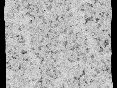 153-RockPanel piece of rock 3D model