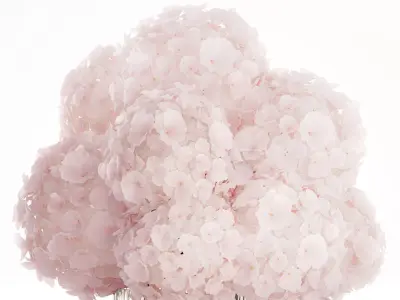 Realistic Bouquet Glass Vase Pink Hydrangea 645 3D model