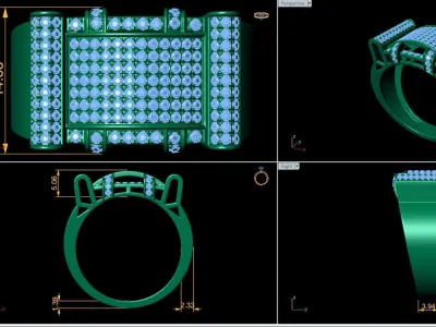 Bid fancy mans ring 3D print model