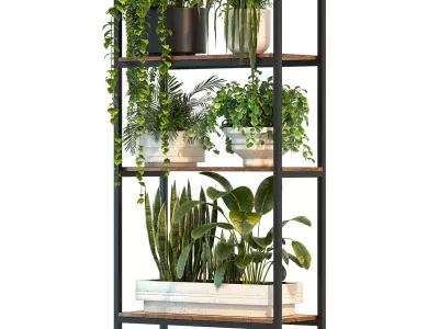 Metal Stand and Wooden Shelf Plant 3D model