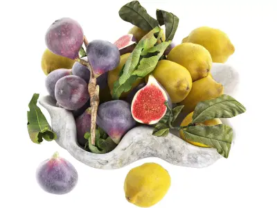 bowl of figs and lemons 3D model
