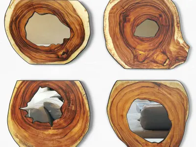 Organic Monkey Pod Mirrors 2 3D model