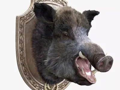 Wild boar head trophy 3D model