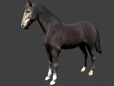 Black Stallion Realistic Running Animation Low-poly 3D model