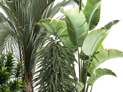 exotic plants in a metal flowerpot for the interior 1110 3D model