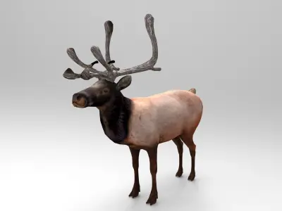 3D Reindeer game ready elk with antlers Low-poly 3D model
