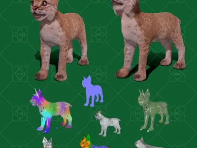 Eurasian Lynx Cub 3D model