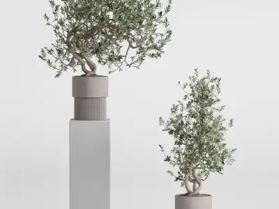 Plants collection 736 3D model