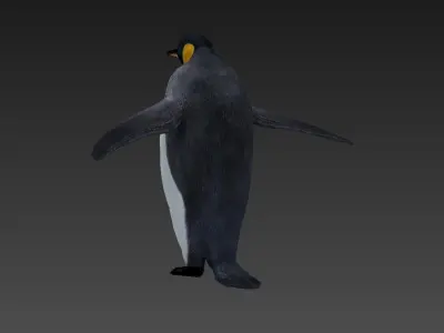 penguin Low-poly 3D model