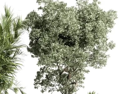 indoor plant set 452 plant bush monstera tree vase dirty  3D model