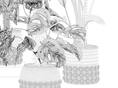 Plants collection 133 3D model