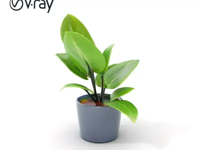 Realistic Potted Plant Model Pack Low-poly 3D model