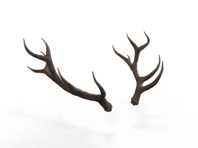 Deer Horns Low-poly 3D model