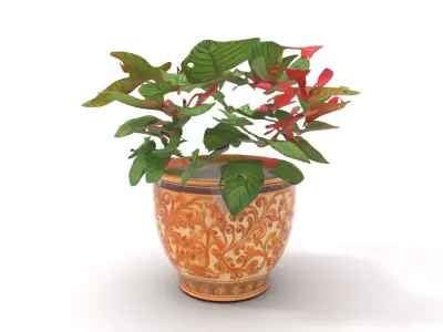 Ornate Floral Vase model pack Low-poly 3D model