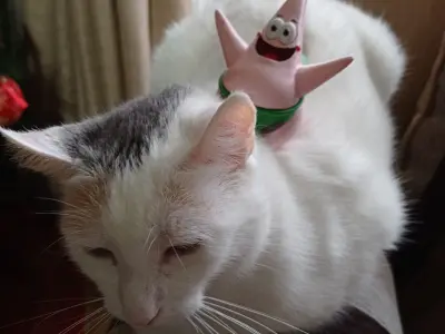 Patrick Christmas Star 3D print model