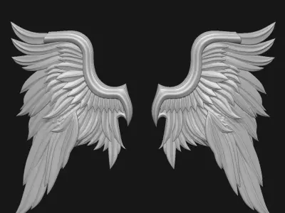 Wings 3D print model
