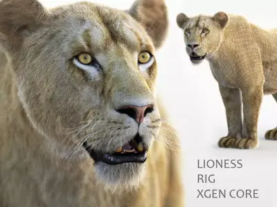 Lioness RIG XGEN CORE 3D model