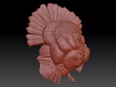 Turkey 3D print model