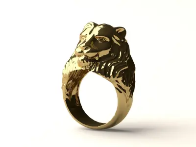 Ring R 54 3D print model