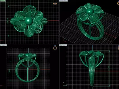 Turkish Ring 3D print model
