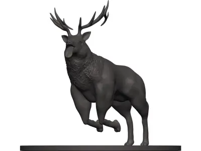 Elk-Elk deer with antlers 3D model