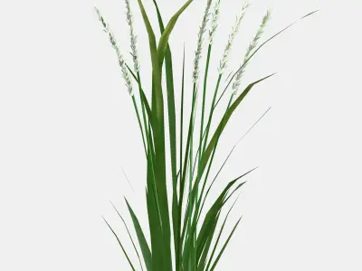 FEJKA Artificial potted plant 3 Low-poly 3D model