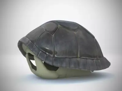 Turtle gray shell Mock-up 3d Model 3D model