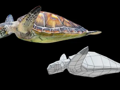 Animated Sea Turtle Low-poly 3D model