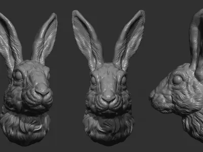 Hare head 3D print model
