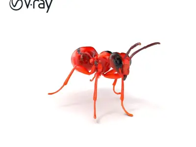 Red Soldier Ant Realistic 3D Model Pack Low-poly 3D model