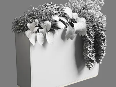 Indoor plant 29 in white bax pot Low-poly 3D model