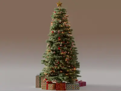 Christmas Tree 3d Model 3D model