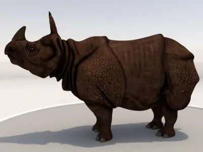 Rhinoceros Low-poly 3D model order