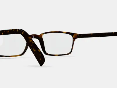 Langhorne Eyeglasses in Whiskey Tortoise 3D model