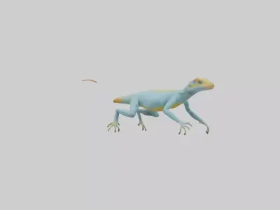 Collared Lizard running model Low-poly 3D model
