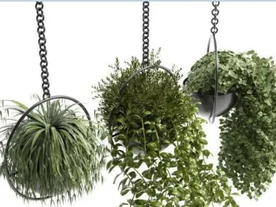 Indoor plants hanging pot 01 Low-poly 3D model