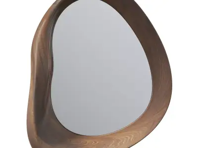 Asymmetric Mirror 3D model