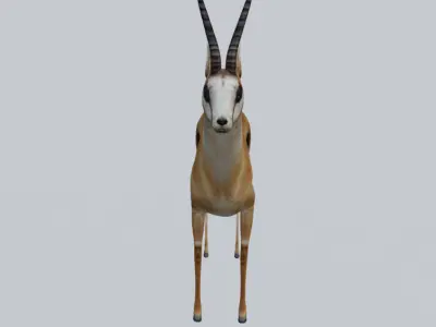 Antelope Low-poly 3D model purchase