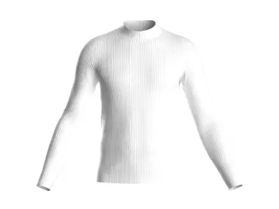 Male long sleeve 3D model