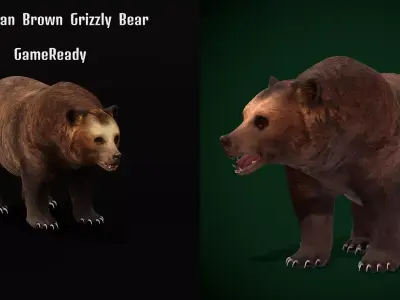Grizzly Brown Bear 3D model