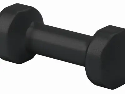 Dumbbell Gym   3D model