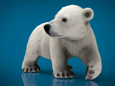 POLAR BEAR BABE Low-poly 3D model