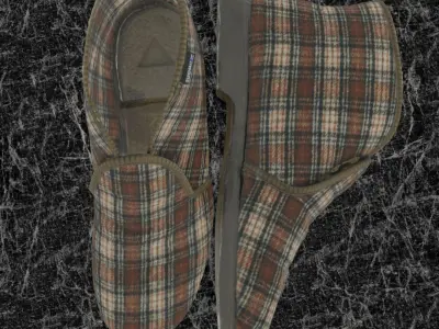 REINO TOSSUT SLIPPER 3D 3D model