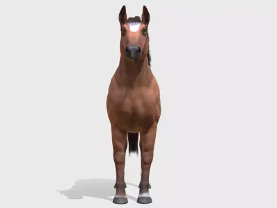 Horse - Stallion Low-poly 3D model