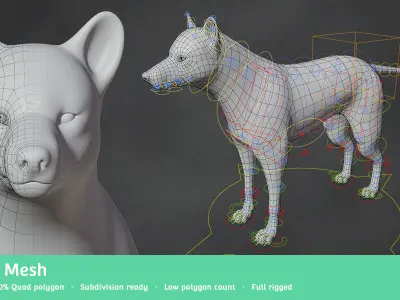 Wolf Base Mesh Low-poly 3D model purchase