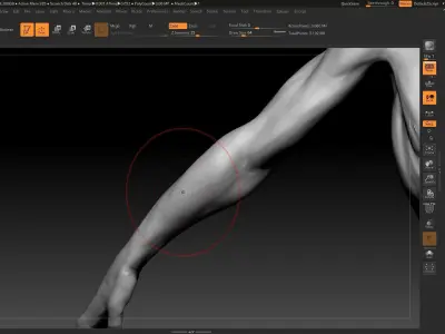 male monkey 3D model