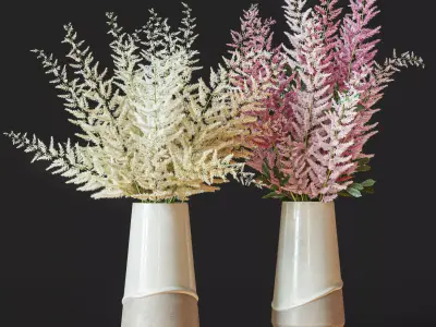 Flower Set 039 Astilbe 3D model